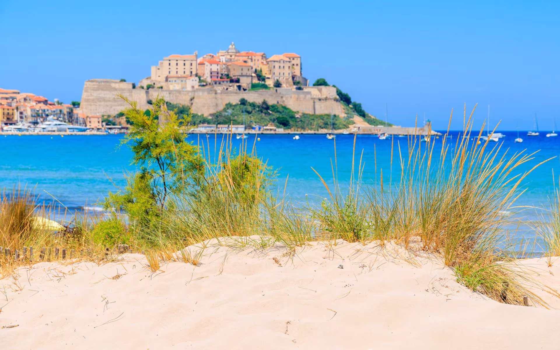 plage sable calvi